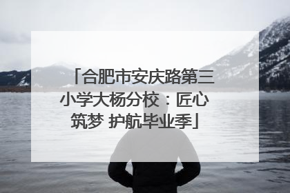 合肥市安庆路第三小学大杨分校：匠心筑梦 护航毕业季