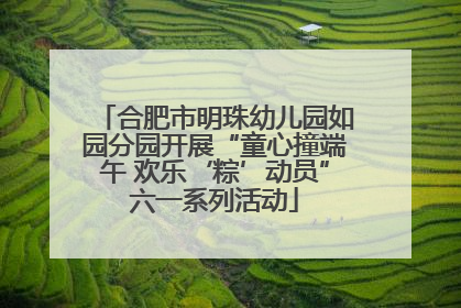 合肥市明珠幼儿园如园分园开展“童心撞端午 欢乐‘粽’动员”六一系列活动