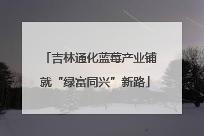 吉林通化蓝莓产业铺就“绿富同兴”新路