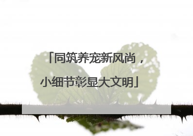同筑养宠新风尚，小细节彰显大文明
