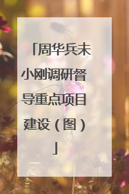 周华兵未小刚调研督导重点项目建设（图）