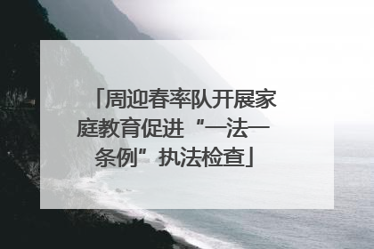 周迎春率队开展家庭教育促进“一法一条例”执法检查