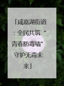 咸嘉湖街道：全民共筑“青春防毒墙” 守护无毒未来