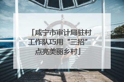 咸宁市审计局驻村工作队巧用“三招”点亮美丽乡村