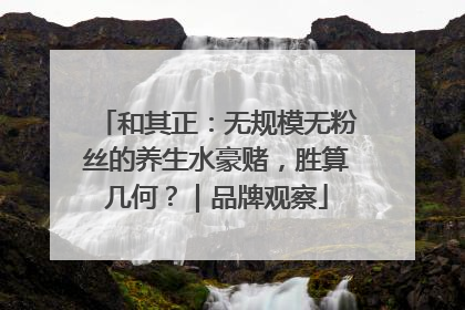 和其正：无规模无粉丝的养生水豪赌，胜算几何？｜品牌观察