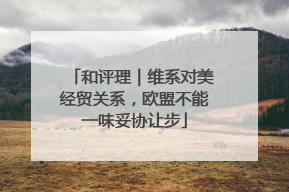 和评理｜维系对美经贸关系，欧盟不能一味妥协让步