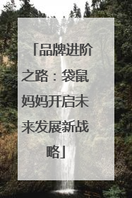 品牌进阶之路：袋鼠妈妈开启未来发展新战略