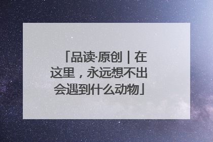 品读·原创｜在这里，永远想不出会遇到什么动物