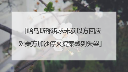 哈马斯称诉求未获以方回应 对美方加沙停火提案感到失望