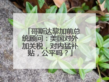 哥斯达黎加前总统顾问：美国对外加关税，对内猛补贴，公平吗？