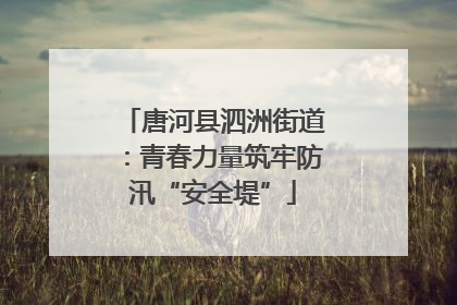 唐河县泗洲街道：青春力量筑牢防汛“安全堤”