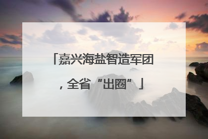 嘉兴海盐智造军团，全省“出圈”