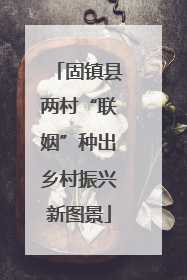 固镇县两村“联姻”种出乡村振兴新图景
