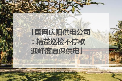 国网庆阳供电公司：精益巡检不停歇 迎峰度夏保供电