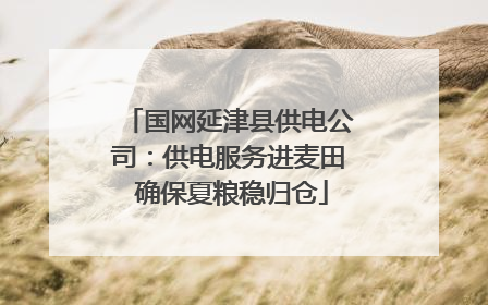 国网延津县供电公司：供电服务进麦田 确保夏粮稳归仓