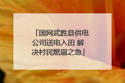 国网武胜县供电公司送电入田 解决村民燃眉之急