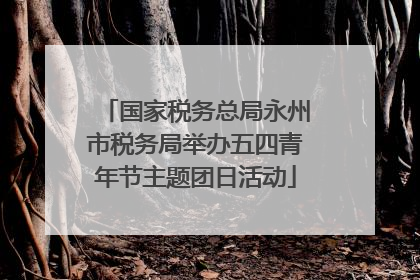 国家税务总局永州市税务局举办五四青年节主题团日活动