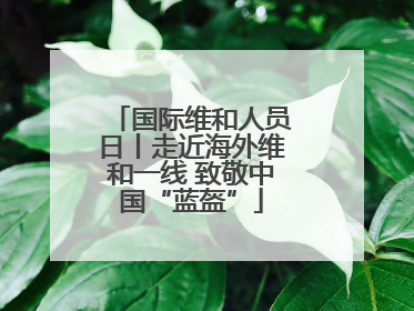 国际维和人员日丨走近海外维和一线 致敬中国“蓝盔”
