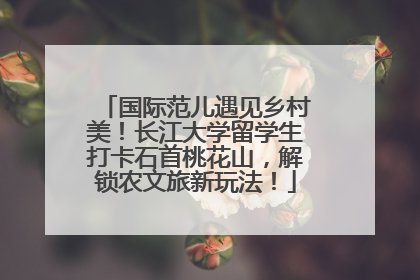 国际范儿遇见乡村美！长江大学留学生打卡石首桃花山，解锁农文旅新玩法！