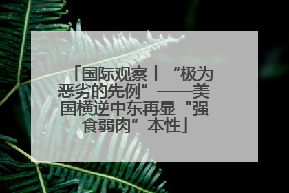 国际观察丨“极为恶劣的先例”——美国横逆中东再显“强食弱肉”本性