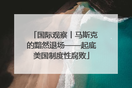 国际观察丨马斯克的黯然退场——起底美国制度性腐败