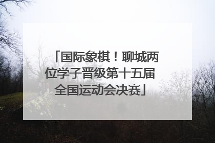 国际象棋！聊城两位学子晋级第十五届全国运动会决赛