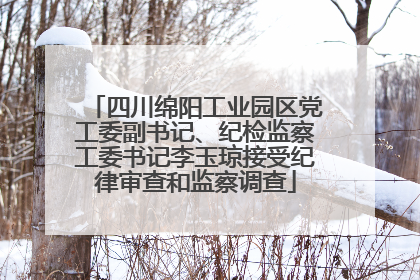 四川绵阳工业园区党工委副书记、纪检监察工委书记李玉琼接受纪律审查和监察调查