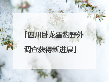 四川卧龙雪豹野外调查获得新进展