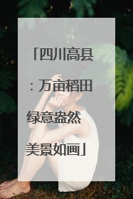四川高县：万亩稻田绿意盎然 美景如画