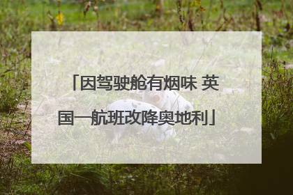 因驾驶舱有烟味 英国一航班改降奥地利