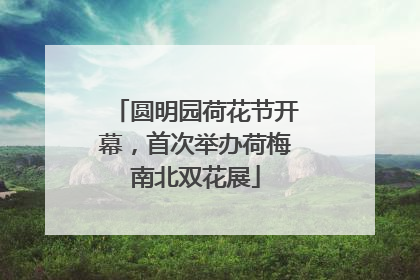 圆明园荷花节开幕，首次举办荷梅南北双花展