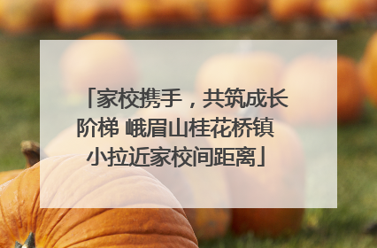 家校携手，共筑成长阶梯 峨眉山桂花桥镇小拉近家校间距离