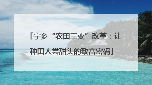 宁乡“农田三变”改革：让种田人尝甜头的致富密码