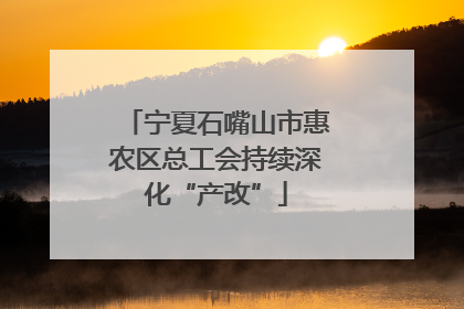 宁夏石嘴山市惠农区总工会持续深化“产改”
