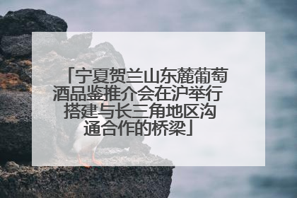 宁夏贺兰山东麓葡萄酒品鉴推介会在沪举行 搭建与长三角地区沟通合作的桥梁