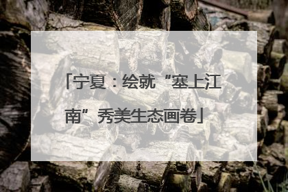 宁夏：绘就“塞上江南”秀美生态画卷