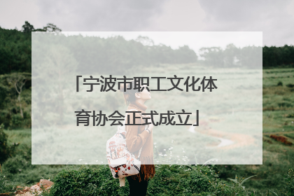 宁波市职工文化体育协会正式成立