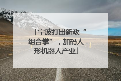宁波打出新政“组合拳”，加码人形机器人产业