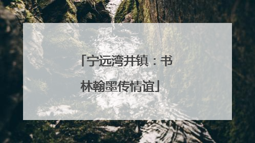 宁远湾井镇：书林翰墨传情谊
