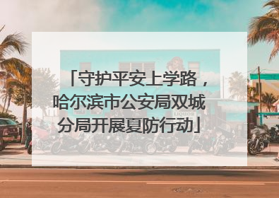 守护平安上学路，哈尔滨市公安局双城分局开展夏防行动