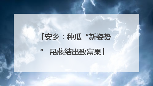 安乡：种瓜“新姿势” 吊藤结出致富果