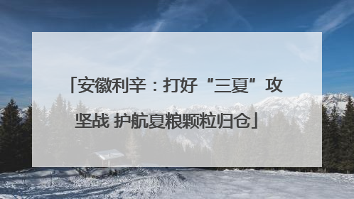 安徽利辛：打好“三夏”攻坚战 护航夏粮颗粒归仓