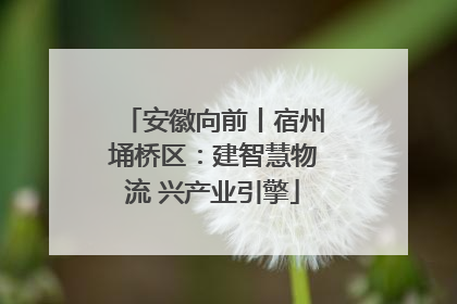 安徽向前丨宿州埇桥区：建智慧物流 兴产业引擎