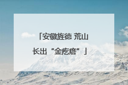安徽旌德 荒山长出“金疙瘩”