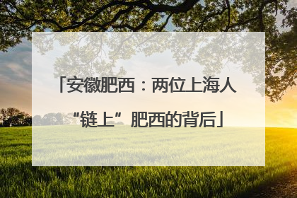 安徽肥西：两位上海人“链上”肥西的背后