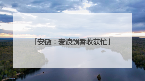 安徽：麦浪飘香收获忙