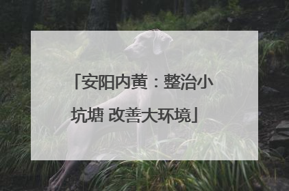 安阳内黄：整治小坑塘 改善大环境