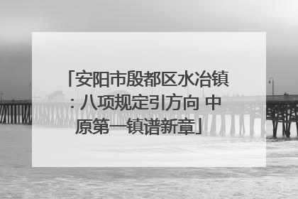 安阳市殷都区水冶镇：八项规定引方向 中原第一镇谱新章