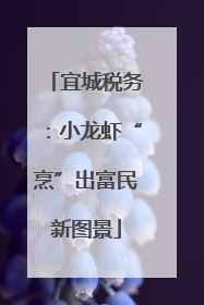 宜城税务：小龙虾“烹”出富民新图景