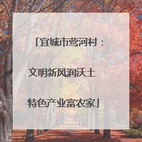 宜城市莺河村：文明新风润沃土 特色产业富农家